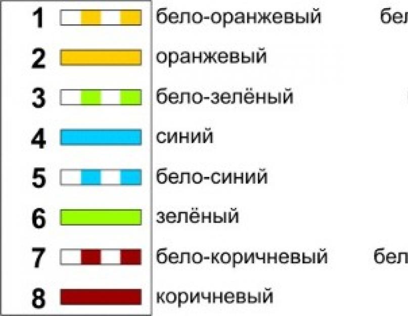 Сетевые разъемы rj 45. Как обжать интернет кабель LAN: что нужно для обжима, основные правила для обжима витой пары