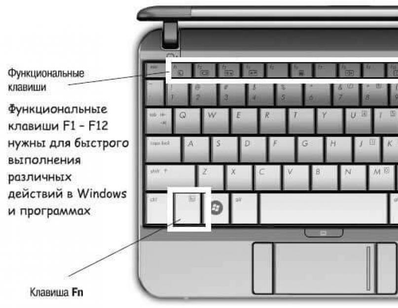 Что значит кнопка fn на клавиатуре. Не работает Fn и функциональные клавиши F1÷F12 на ноутбуке