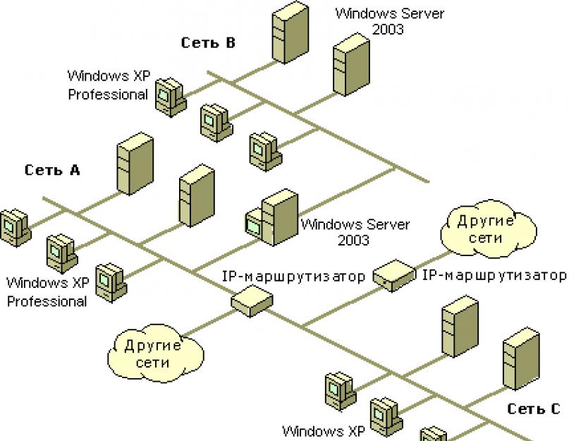 Протокол маршрутизации обеспечивает передачу информации между. Что обеспечивает протокол маршрутизации (IP)? ﻿